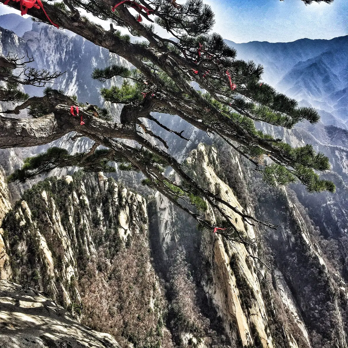 Xi'an Terracotta Army & Huashan 6D5N Free & Easy — Day 4 — Free day: Giant Wild Goose Pagoda · Shaanxi History Museum · Datang Everbright City