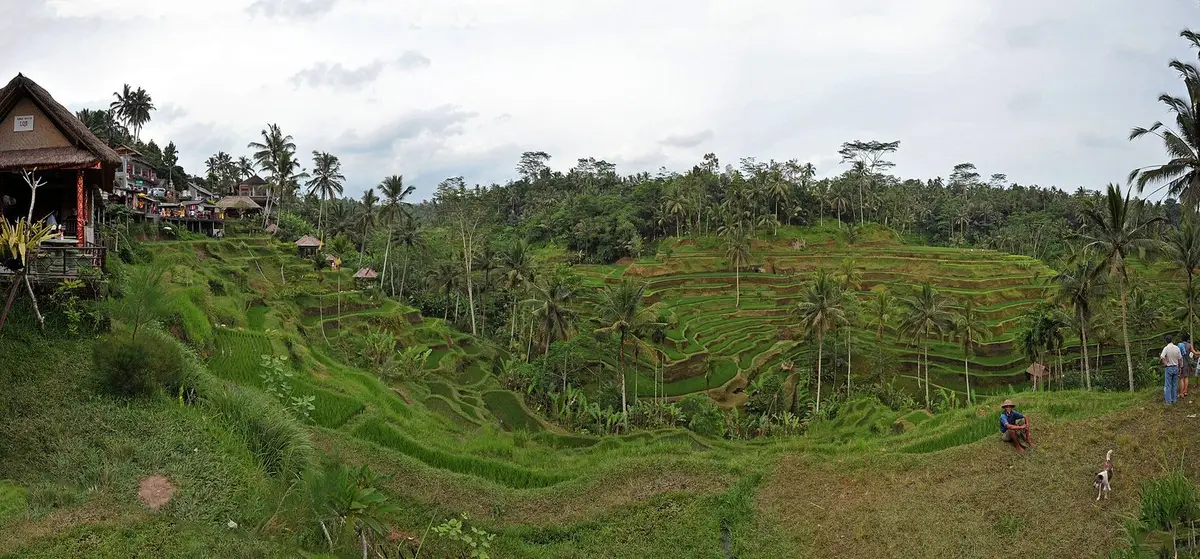Bali Free & Easy 7D6N