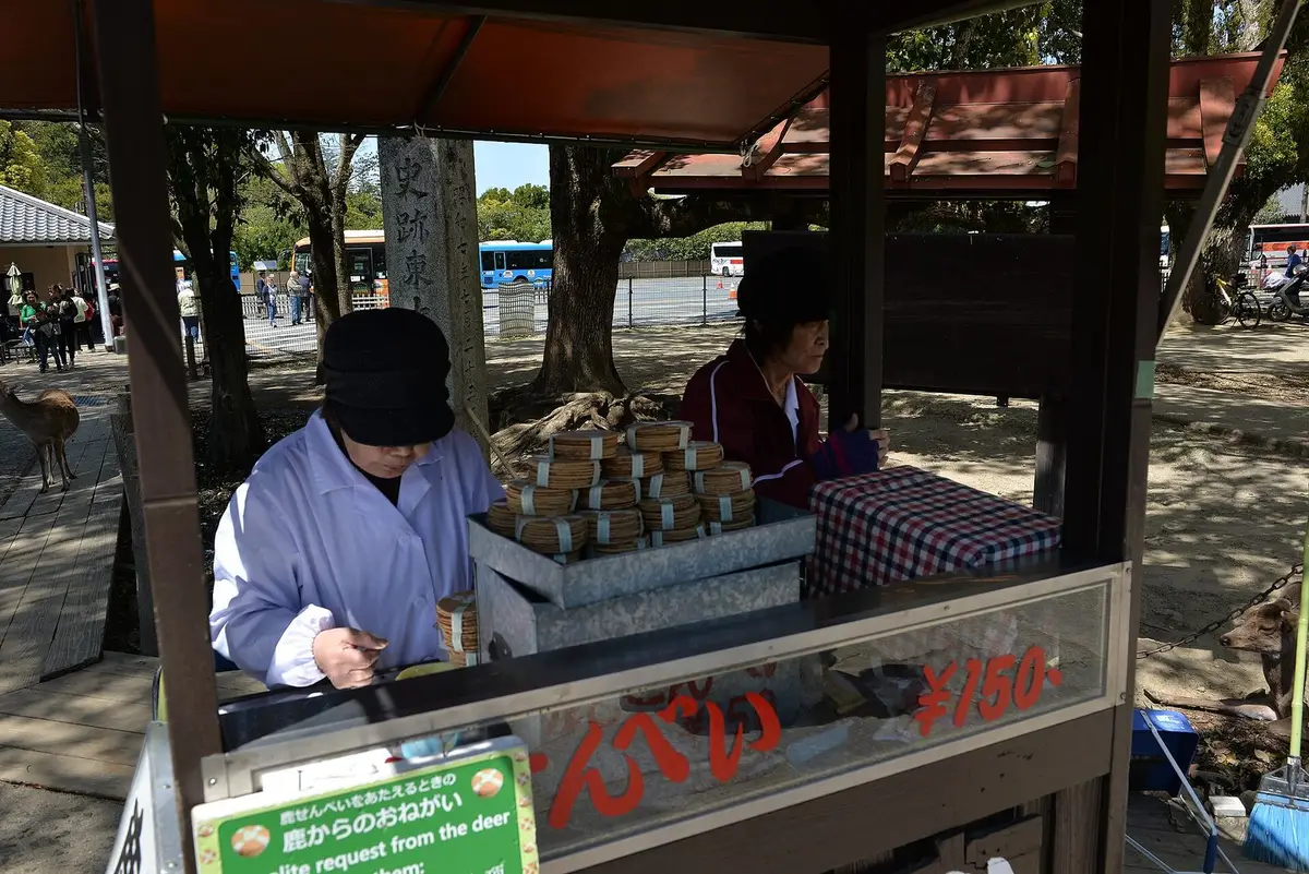 Japan Golden Route 6D5N — Day 4 — Hakone Lake Ashi cruise · Owakudani ropeway