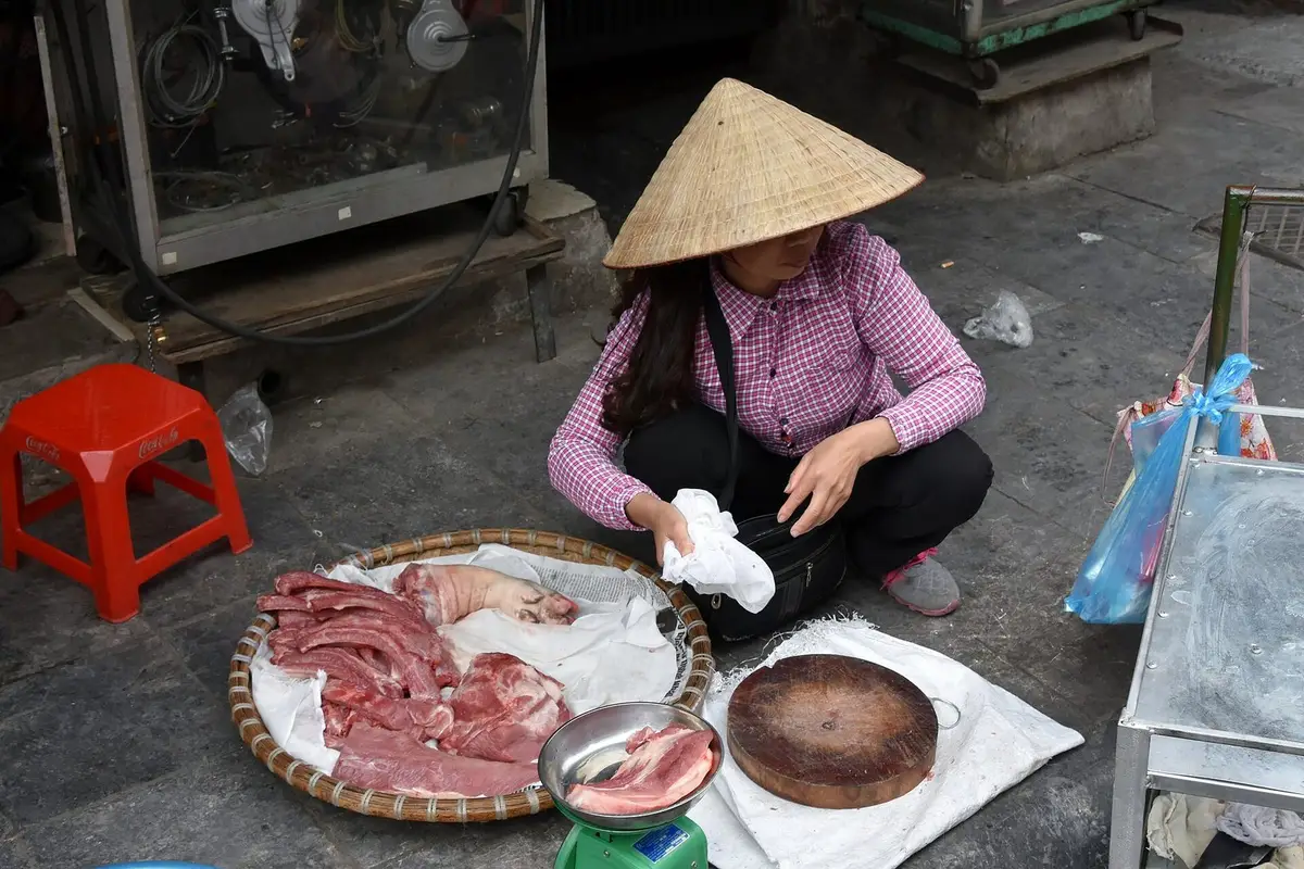 Hanoi & Ha Long Bay Escorted 7D6N